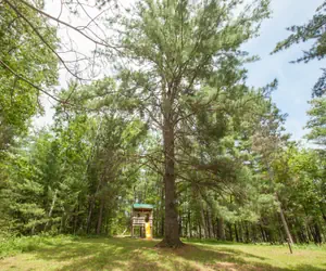 Photo 3 - Our Wielgot Tradition