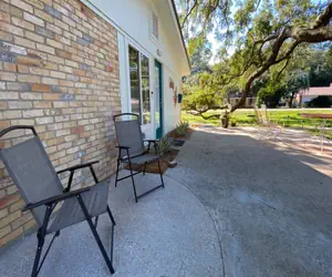 Photo 4 - Cuddlefish