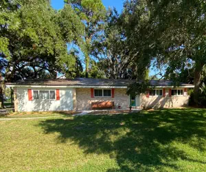 Photo 2 - Cuddlefish