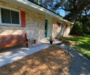 Photo 3 - Cuddlefish