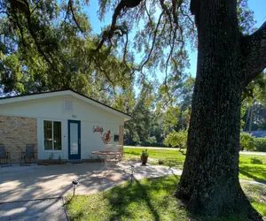 Photo 5 - Cuddlefish