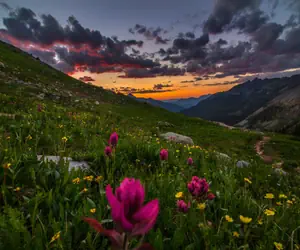 Photo 3 - Bear Creek Lodge 107B