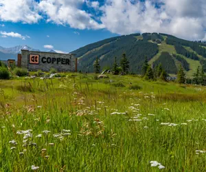 Photo 4 - Mountain Plaza 2 Bedroom Condo #708/709