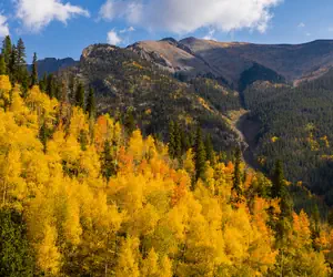 Photo 3 - Village Square 1 Bedroom Condo #242/244