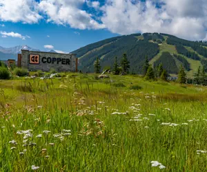 Photo 4 - Village Square 1 Bedroom Condo #242/244