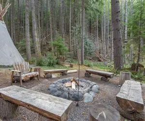 Photo 5 - Elk Crossing Cozy Cabin at Crystal Mountain