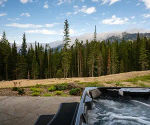 Photo 5 - 13 Speedwell Drive