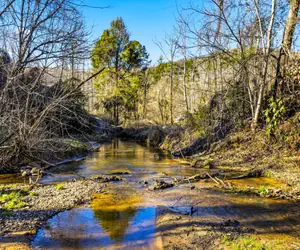 Photo 3 - Creekside Treehouse