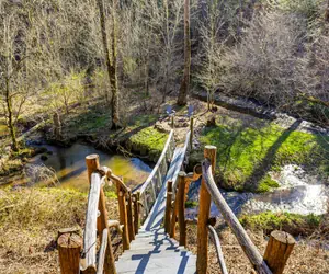 Photo 2 - Creekside Treehouse