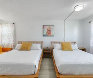 Photo 5 - Pineapple 4