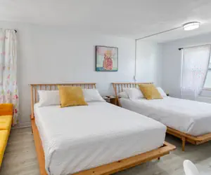 Photo 4 - Pineapple 4