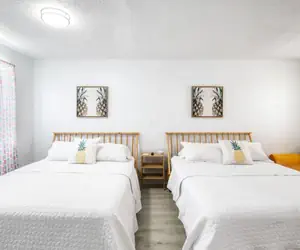 Photo 3 - Pineapple 3 Shores Retro Inn 3