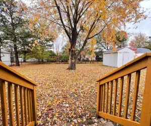 Photo 5 - 318) Large 3 bedroom | Fenced Yard | Great Area