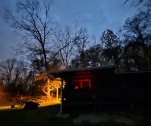 Photo 4 - Turkey Trot & Silly Goose At Heron Hill Retreat!