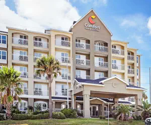 Photo 2 - Comfort Inn & Suites Galveston Central Island near Pier