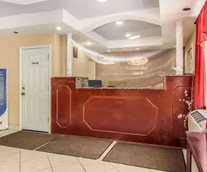 Photo 4 - Econo Lodge Bradford South