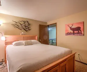 Photo 3 - 4BR Entertainer AF Academy Hot Tub, Firepit!