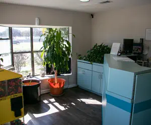 Photo 2 - Best Budget Inn