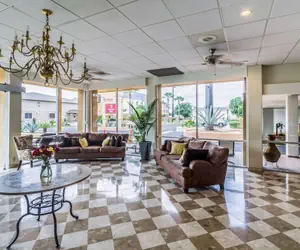 Photo 5 - Clarion Inn near McAllen Airport