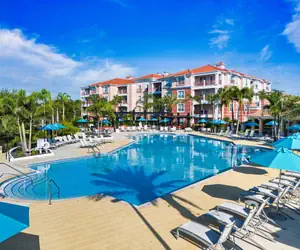 Photo 5 - Majestic Palms