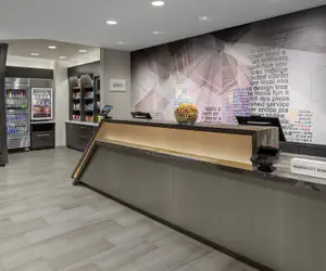 Photo 3 - SpringHill Suites by Marriott East Rutherford Meadowlands/Carlstadt