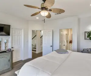 Photo 4 - The Pelican Perch