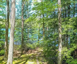 Photo 4 - Putter Place by Taylor Made Deep Creek