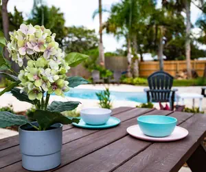 Photo 3 - The Island Oasis