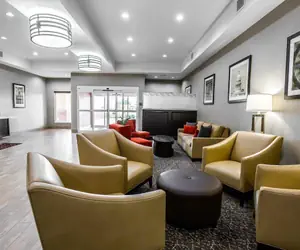 Photo 4 - Comfort Suites Northwest - Cy - Fair
