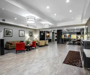 Photo 3 - Comfort Suites Northwest - Cy - Fair