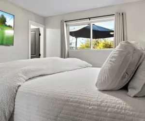 Photo 5 - Just Listed! Old Town Paradise W/htd Pool & Spa!