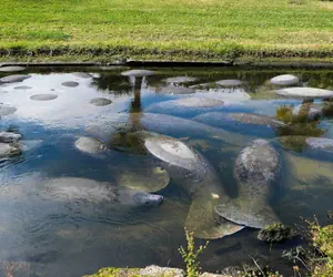 Photo 3 - Satellite Beach Townhome w/ Patios, & Beach Gear