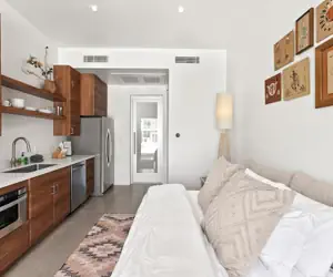 Photo 4 - Funky Pool Side Cabana in DTPHX