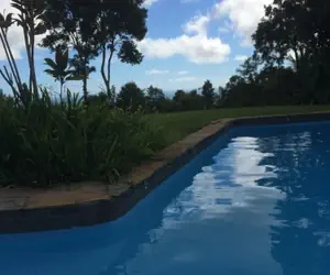 Photo 4 - Serenity Rainforest Retreat