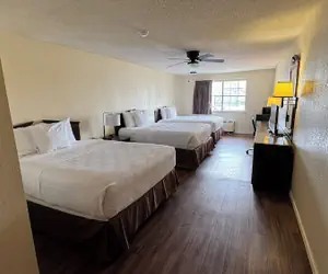 Photo 5 - Executive Inn & Suites