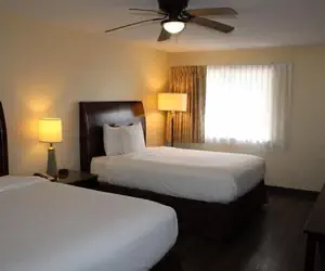 Photo 2 - Executive Inn & Suites