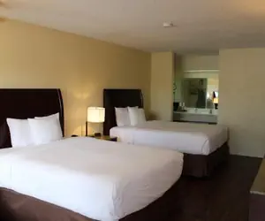 Photo 3 - Executive Inn & Suites