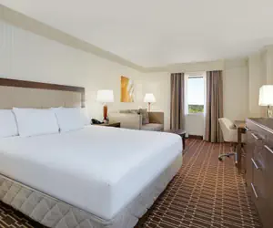 Photo 5 - Hilton Jackson