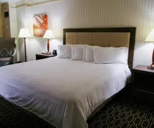 Photo 4 - Hilton Jackson