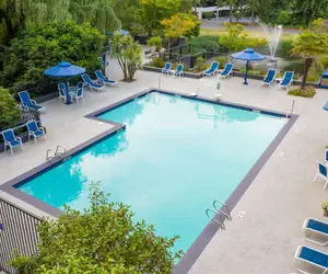 Photo 2 - Hilton Bellevue