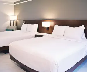 Photo 5 - The Fontana Hotel