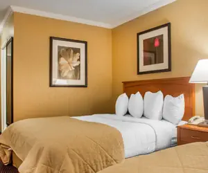 Photo 3 - Clarion Hotel & Suites Riverfront