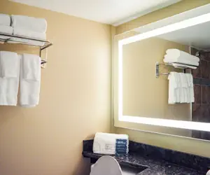 Photo 3 - Radisson Hotel Orlando Lake Buena Vista South