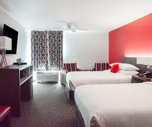 Photo 5 - Radisson Hotel Orlando Lake Buena Vista South