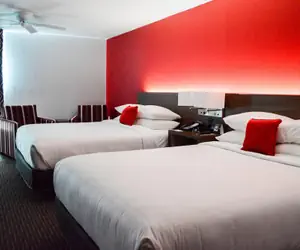 Photo 4 - Radisson Hotel Orlando Lake Buena Vista South