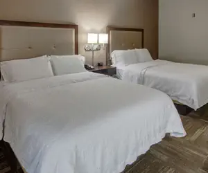 Photo 5 - Hampton Inn Corinth