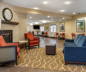 Photo 4 - Comfort Inn & Suites Paw Paw