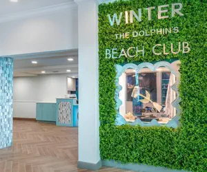 Photo 5 - Dolphin Sands Clearwater Beach, an Ascend Collection Hotel