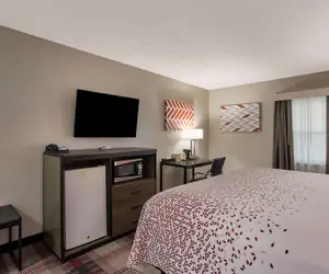 Photo 5 - SureStay Hotel by Best Western Higginsville