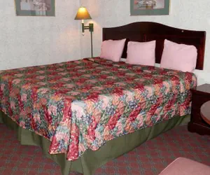 Photo 4 - Magnuson Hotel Fowlerville